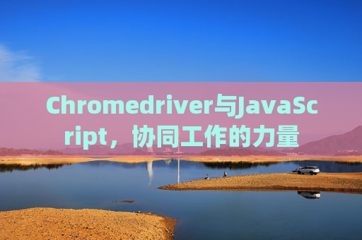 Chromedriver与JavaScript，协同工作的力量